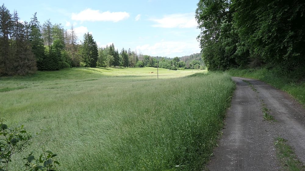 Kellerwaldsteig