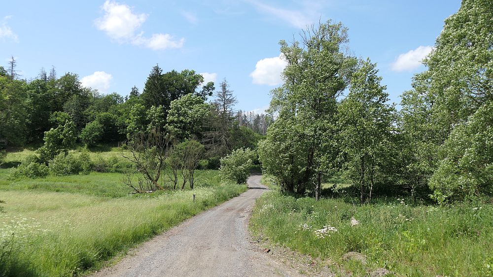 Kellerwaldsteig