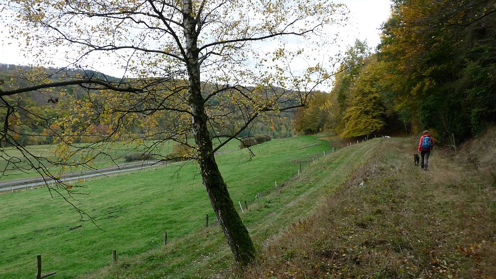 Kellerwaldsteig
