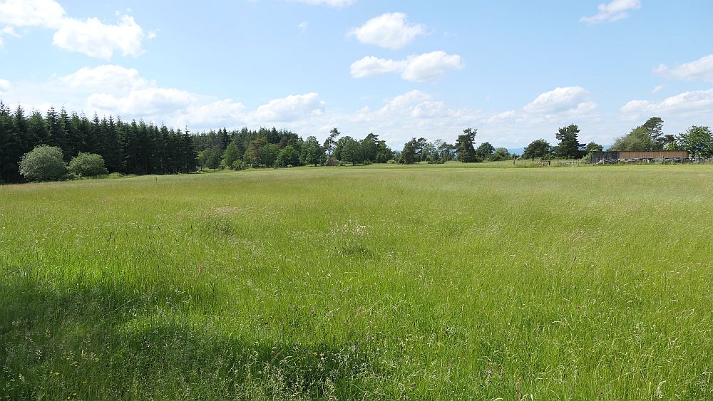 Kellerwaldsteig