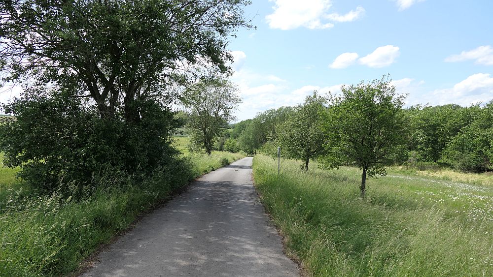 Kellerwaldsteig