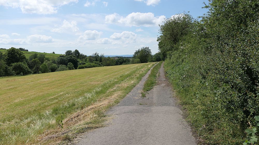 Kellerwaldsteig