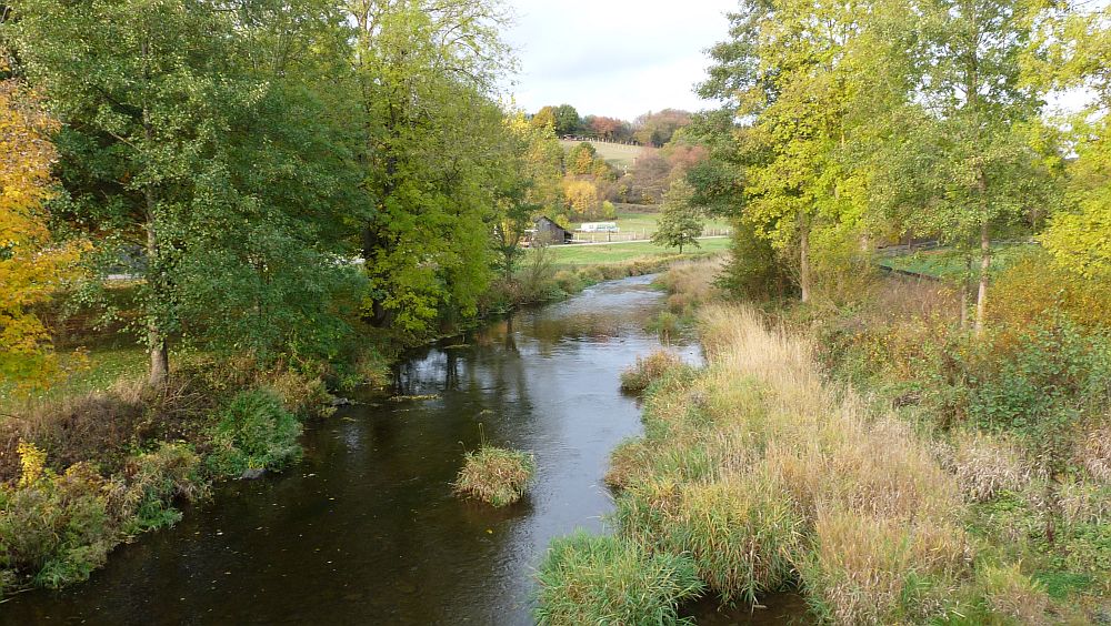 Kellerwaldsteig