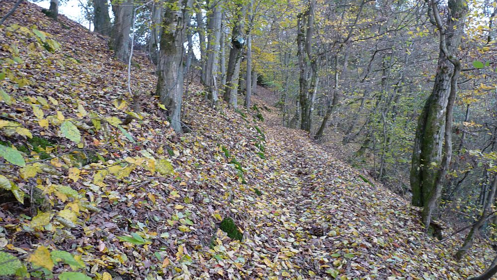 Kellerwaldsteig
