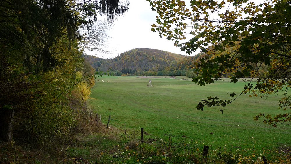 Kellerwaldsteig