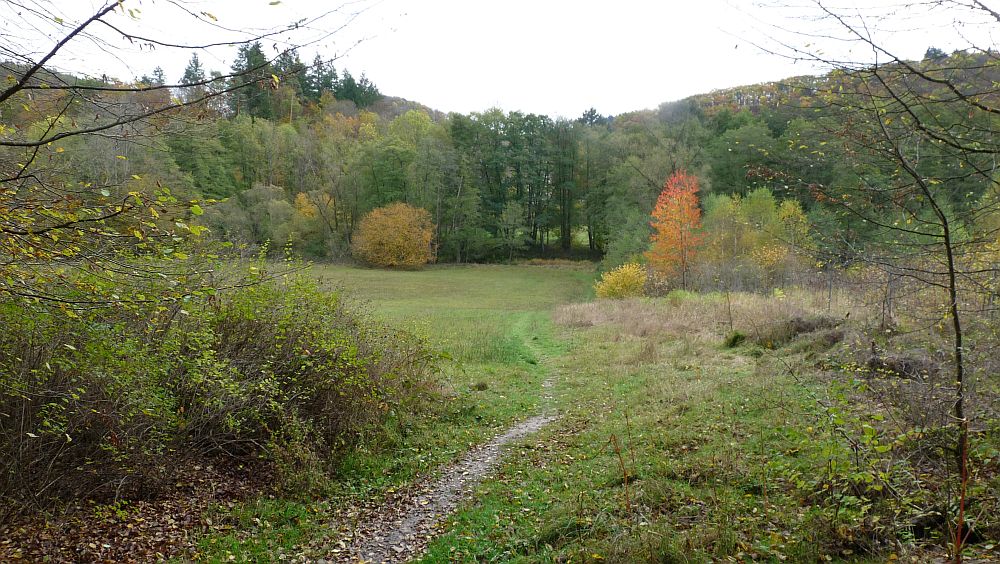 Kellerwaldsteig