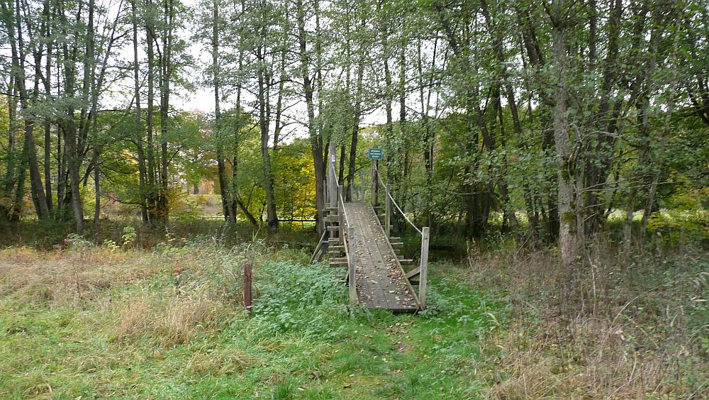 Kellerwaldsteig