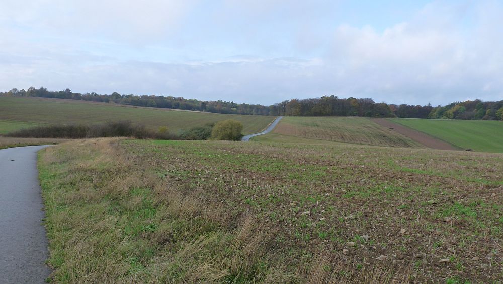 Kellerwaldsteig