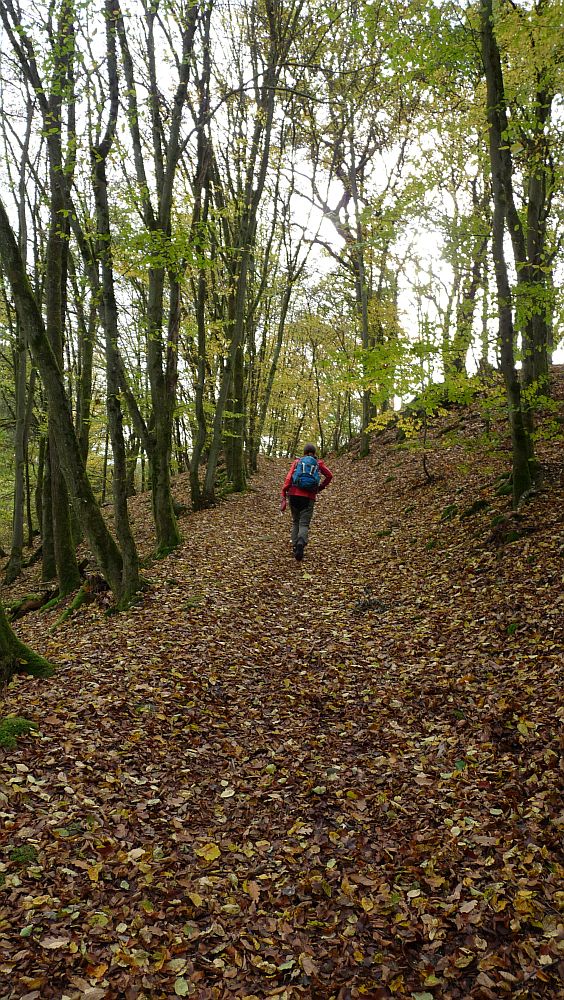 Kellerwaldsteig