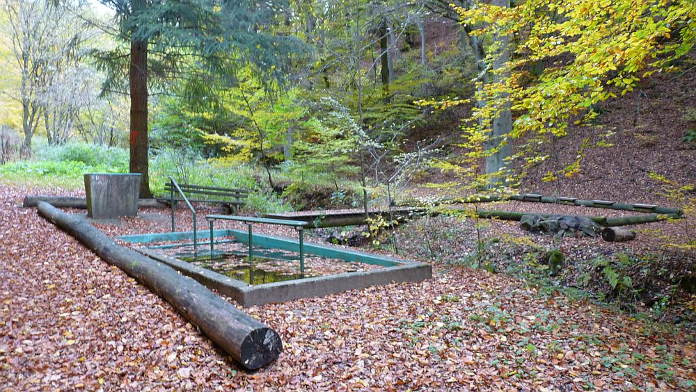 Kellerwaldsteig