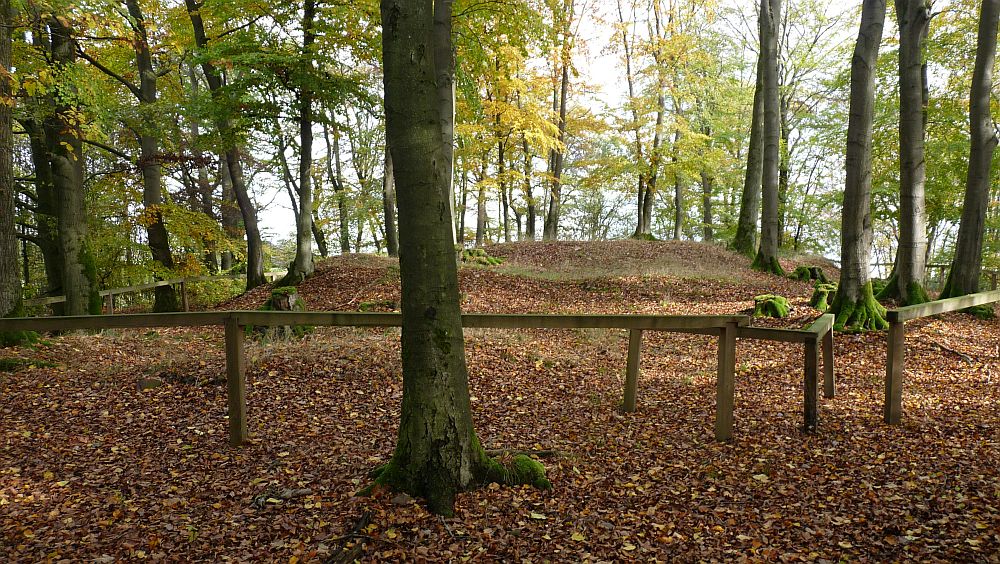 Kellerwaldsteig