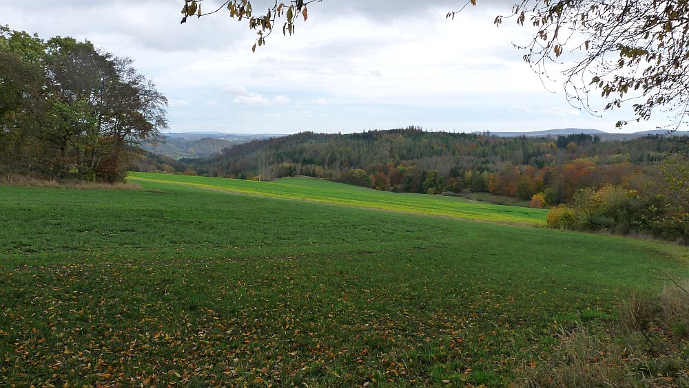 Kellerwaldsteig
