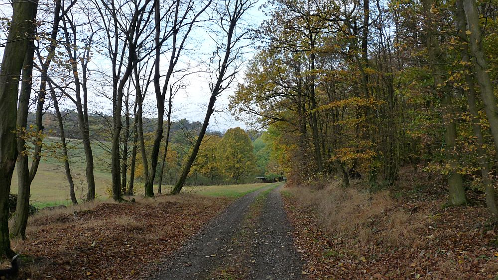 Kellerwaldsteig