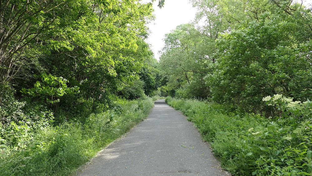 Kellerwaldsteig