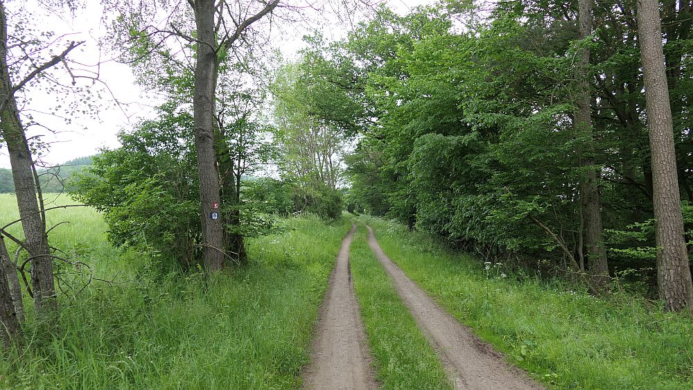 Kellerwaldsteig