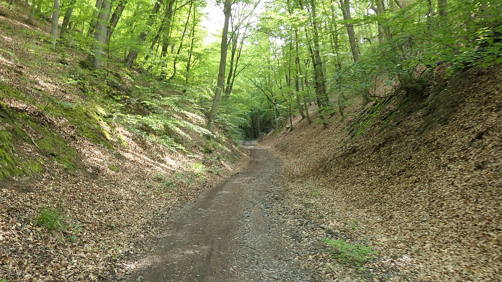 Kellerwaldsteig