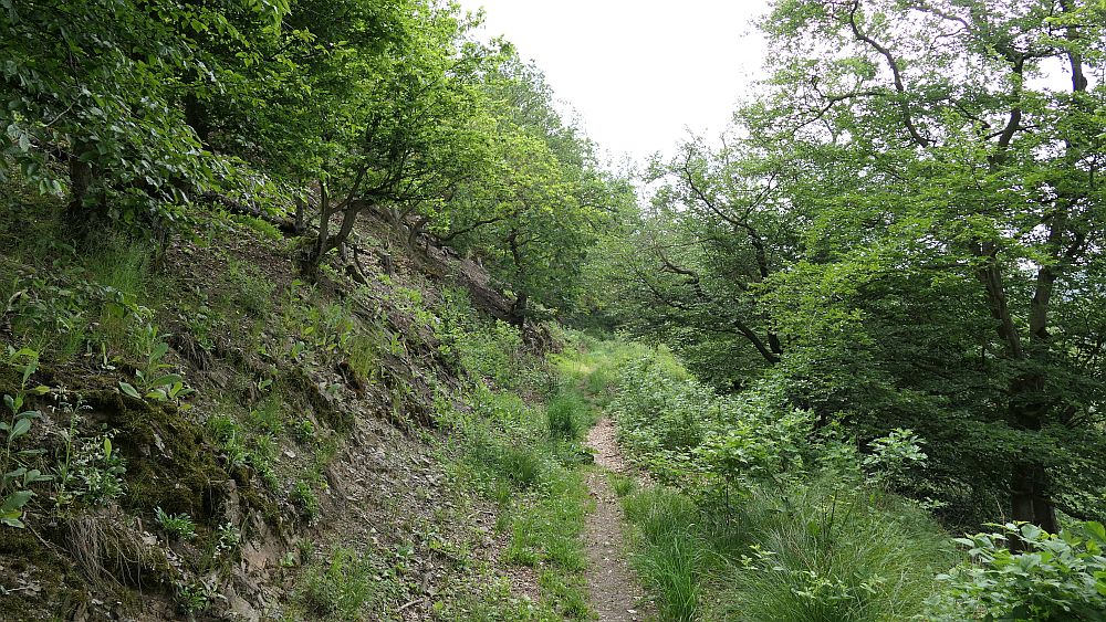 Kellerwaldsteig