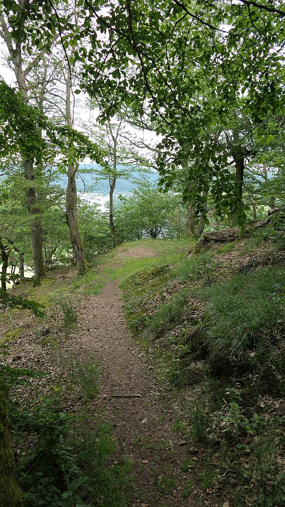 Kellerwaldsteig