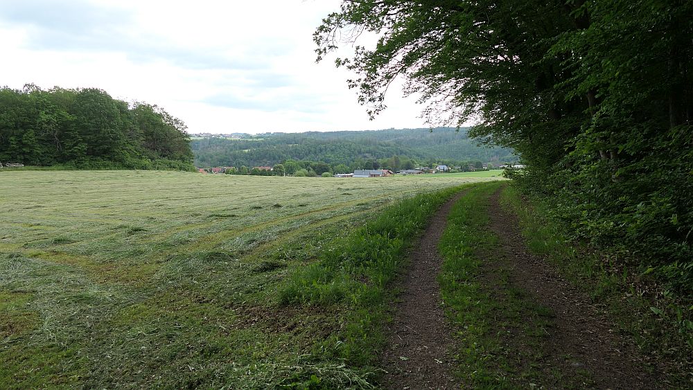 Kellerwaldsteig