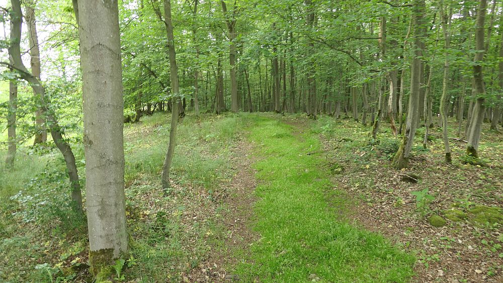 Kellerwaldsteig