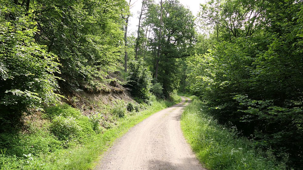 Kellerwaldsteig