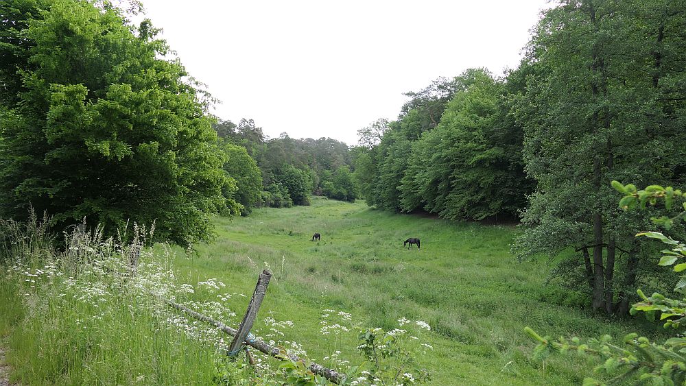 Kellerwaldsteig
