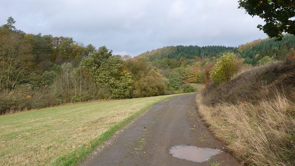 Kellerwaldsteig