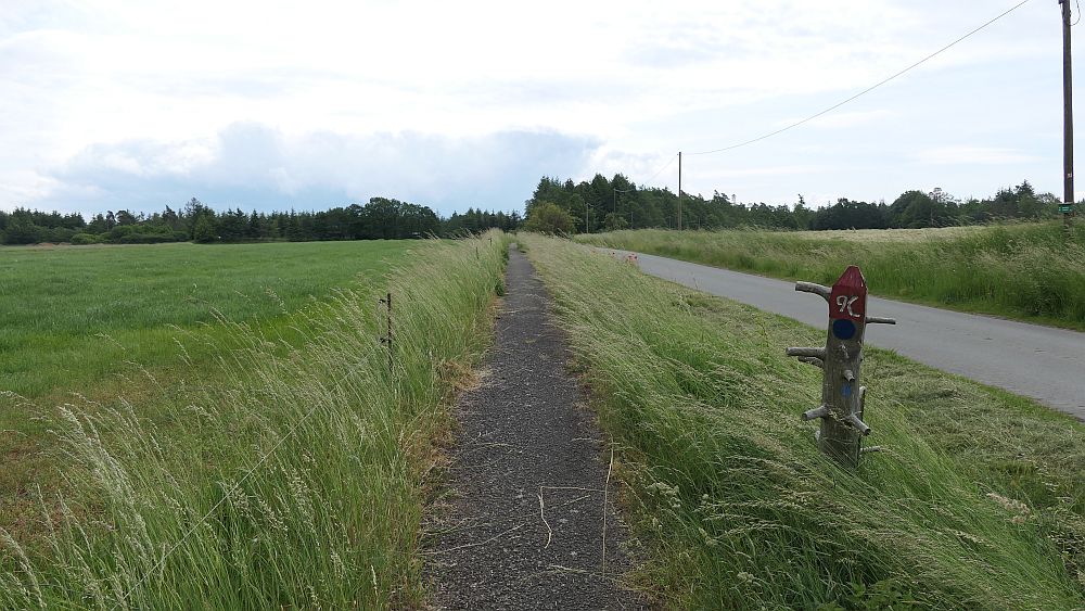 Kellerwaldsteig