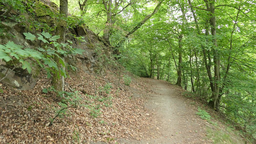 Kellerwaldsteig