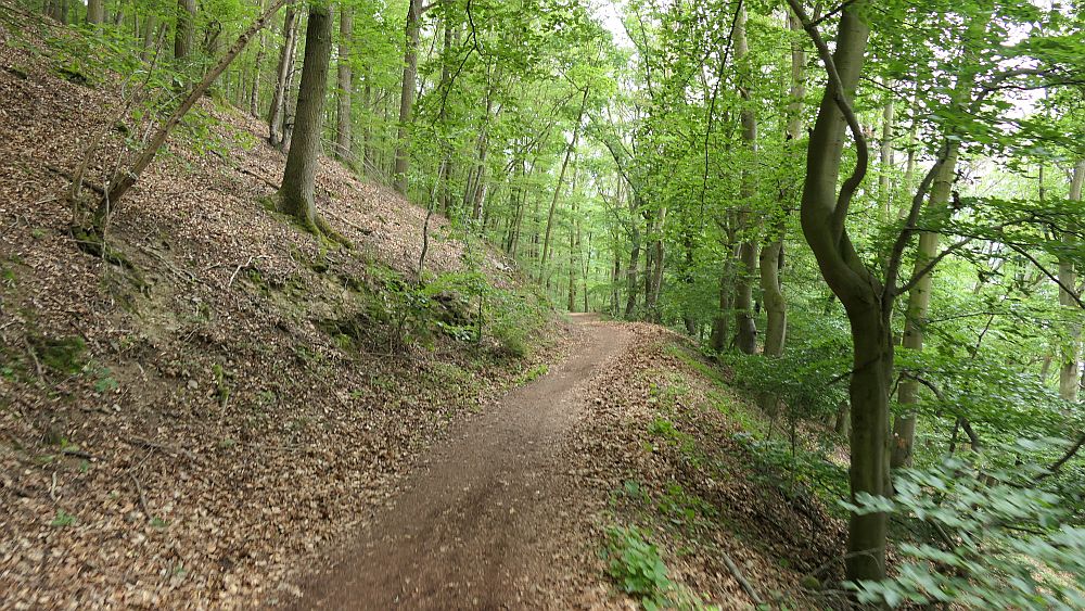 Kellerwaldsteig