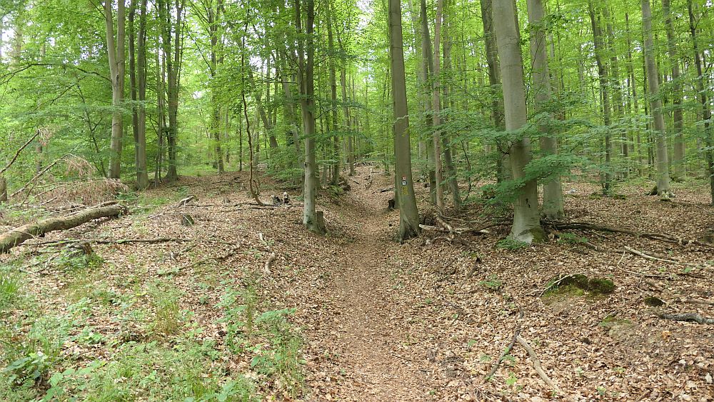 Kellerwaldsteig