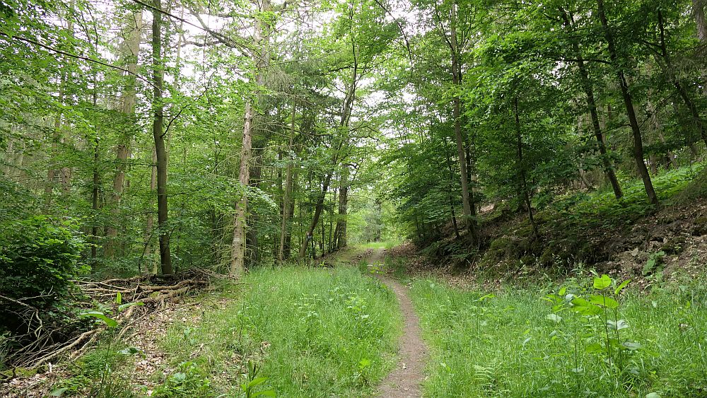 Kellerwaldsteig