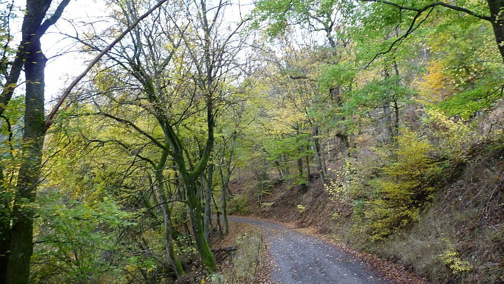 Kellerwaldsteig
