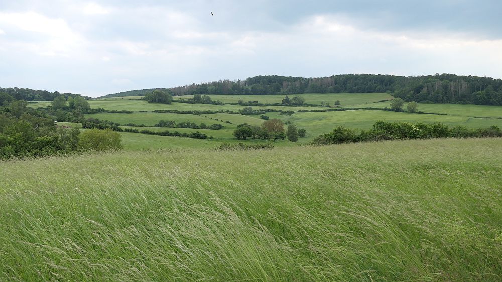 Kellerwaldsteig
