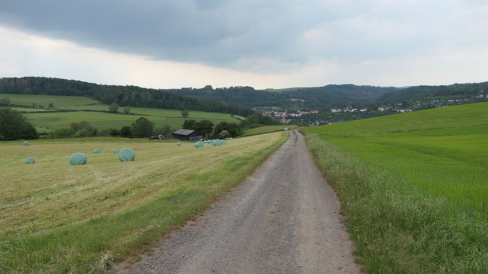 Kellerwaldsteig