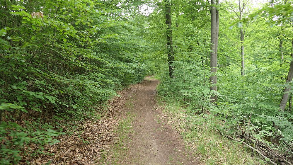 Kellerwaldsteig