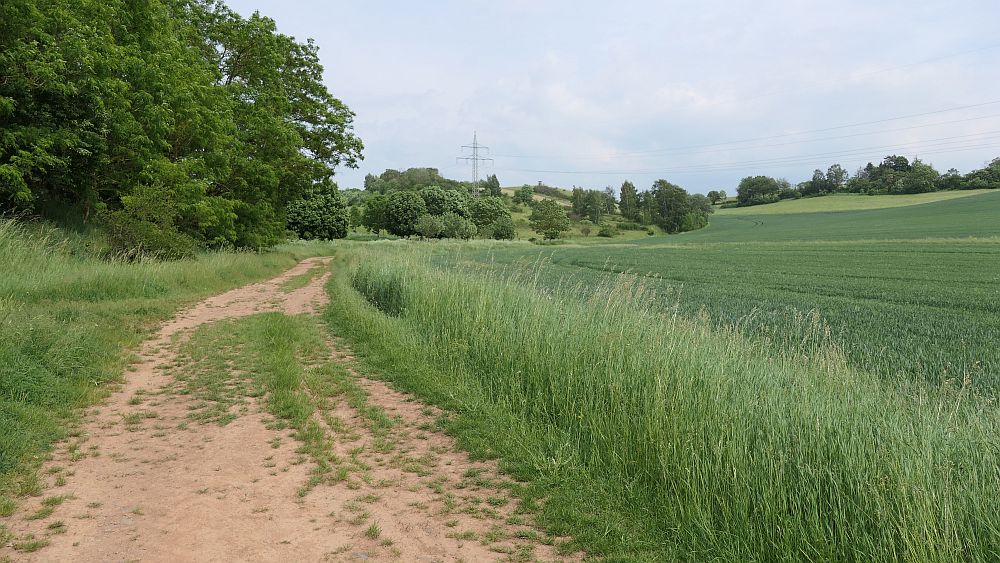 Kellerwaldsteig