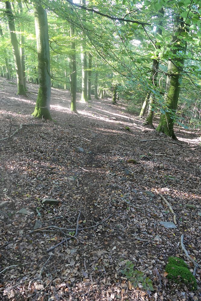 Boesenbergroute