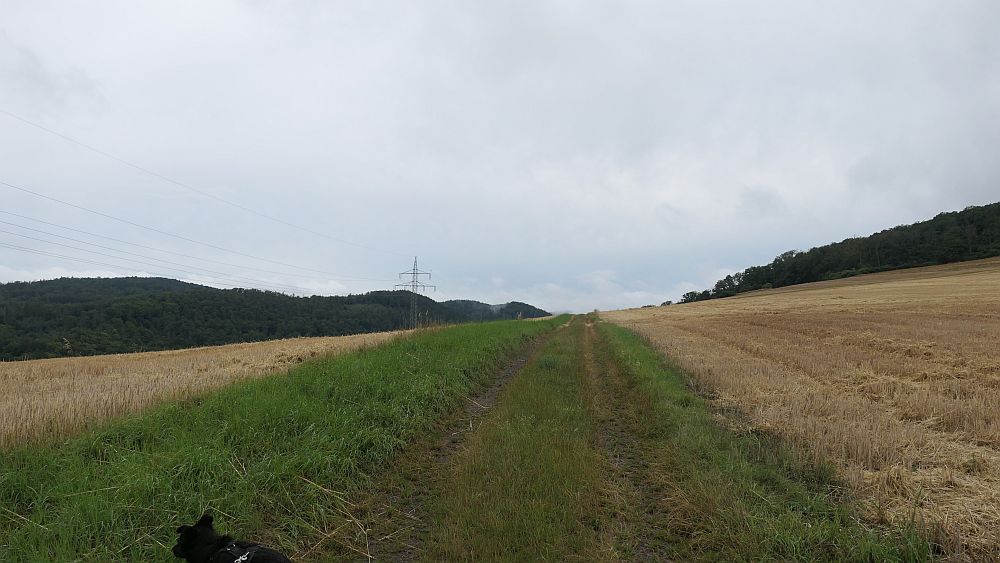 Dicker Kopf