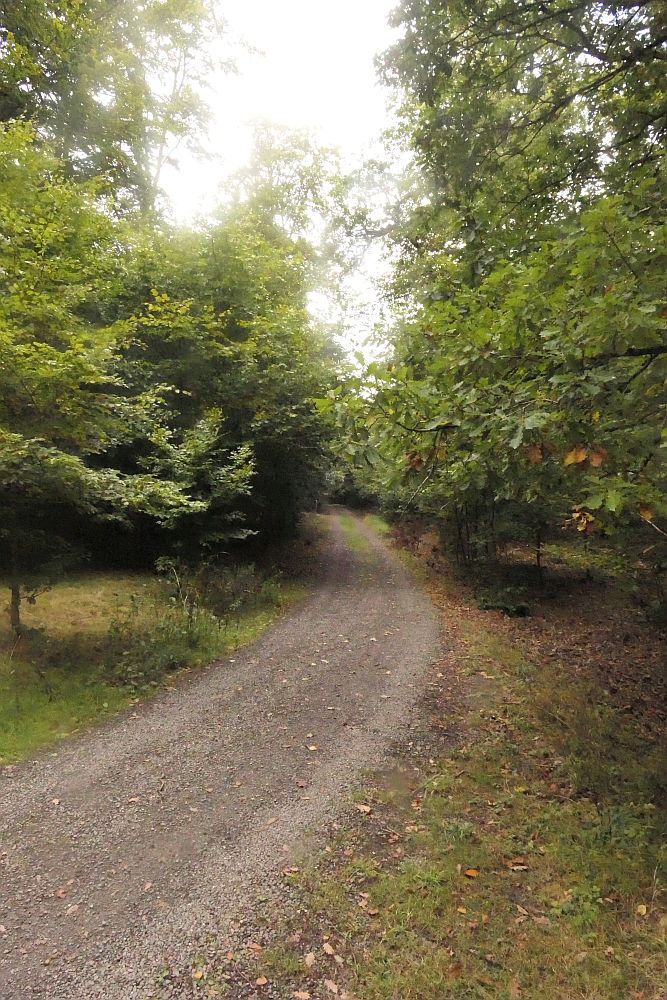 Elsebachroute