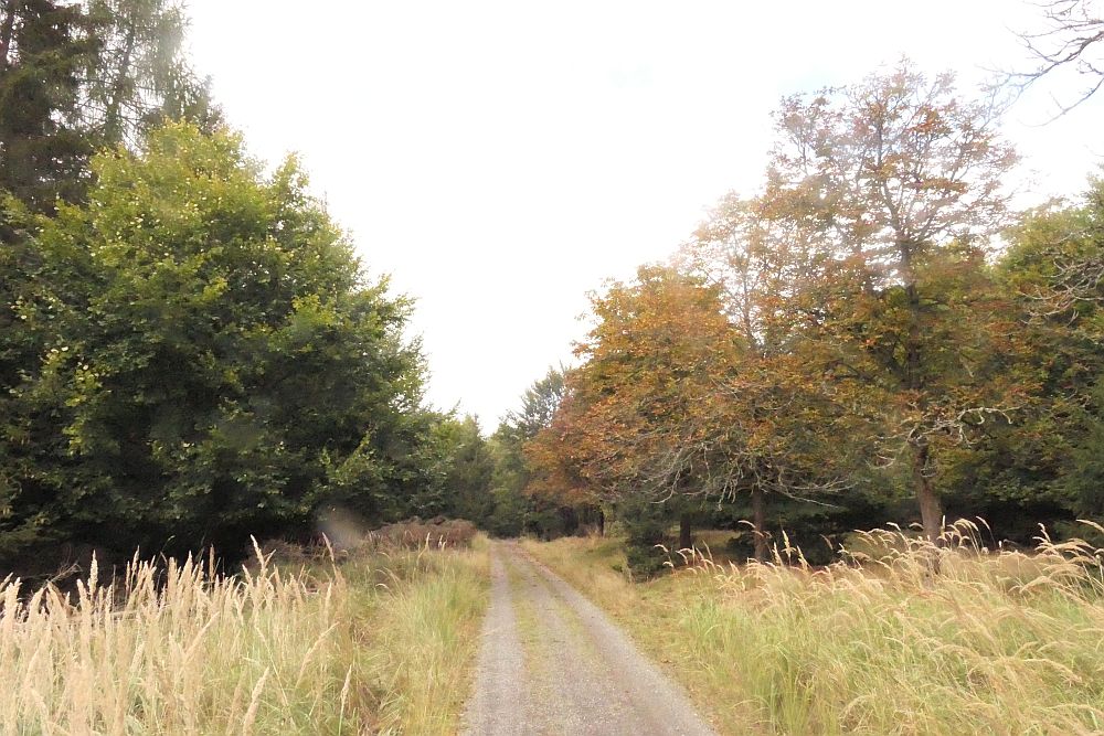 Elsebachroute