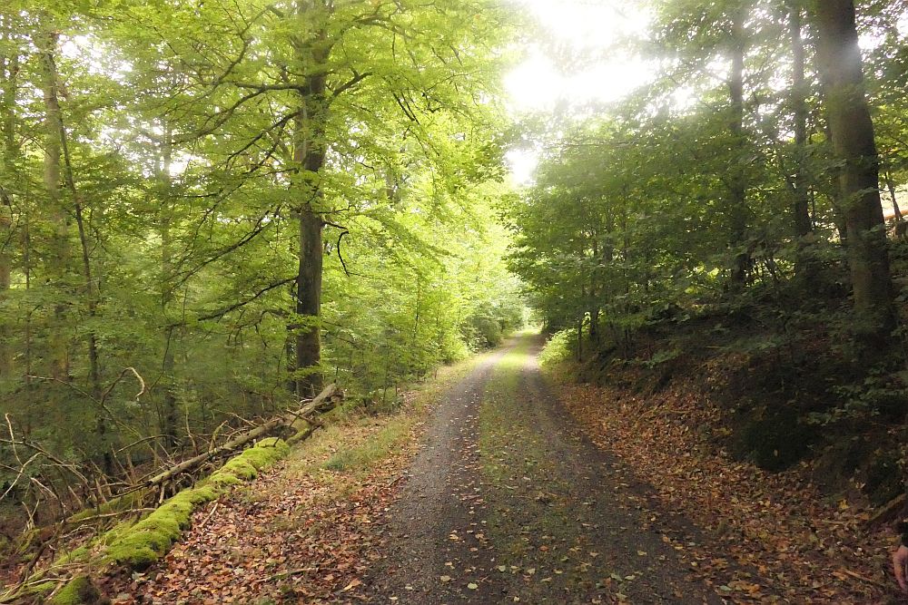 Elsebachroute