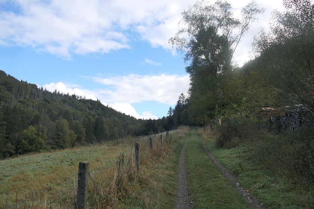 Fahrentrietsch