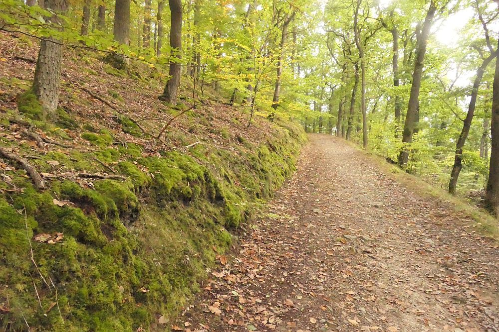 katzensteinroute