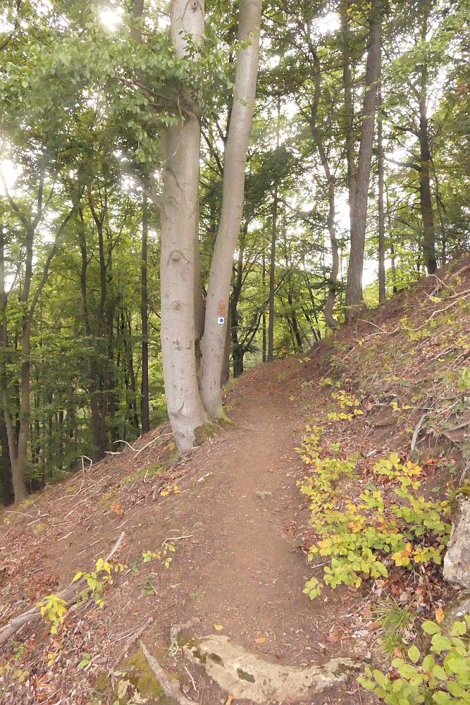 katzensteinroute