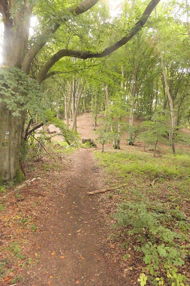 katzensteinroute