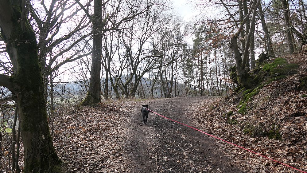 Locheichenweg