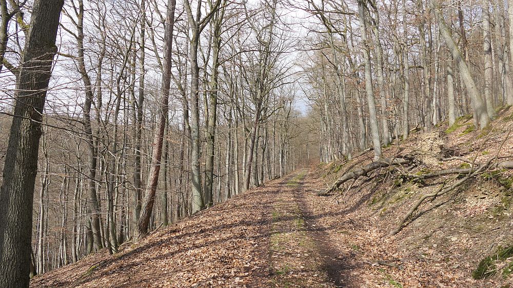 Locheichenweg