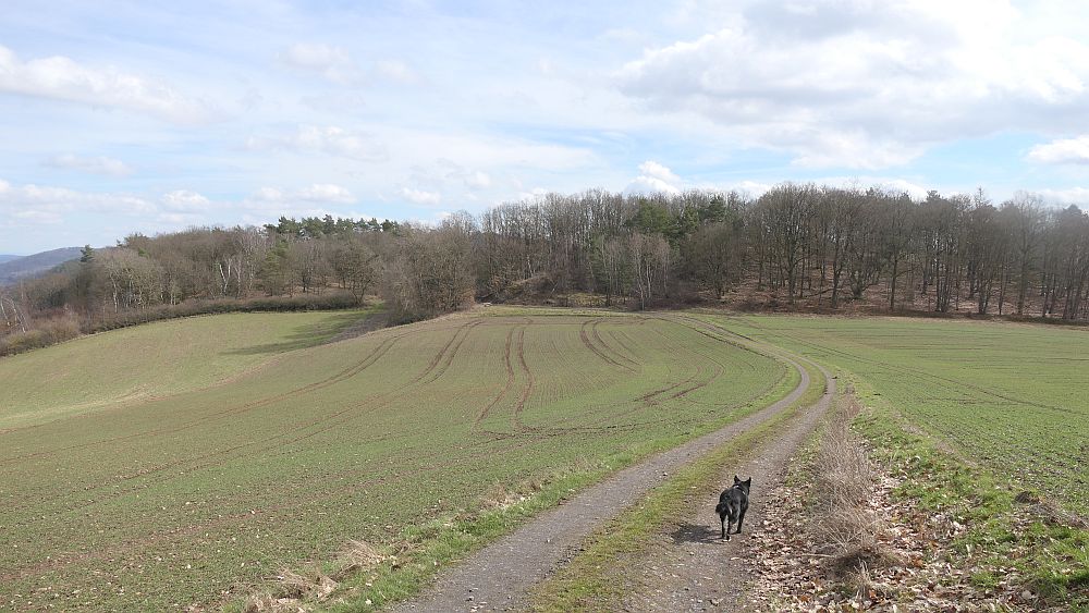 Locheichenweg