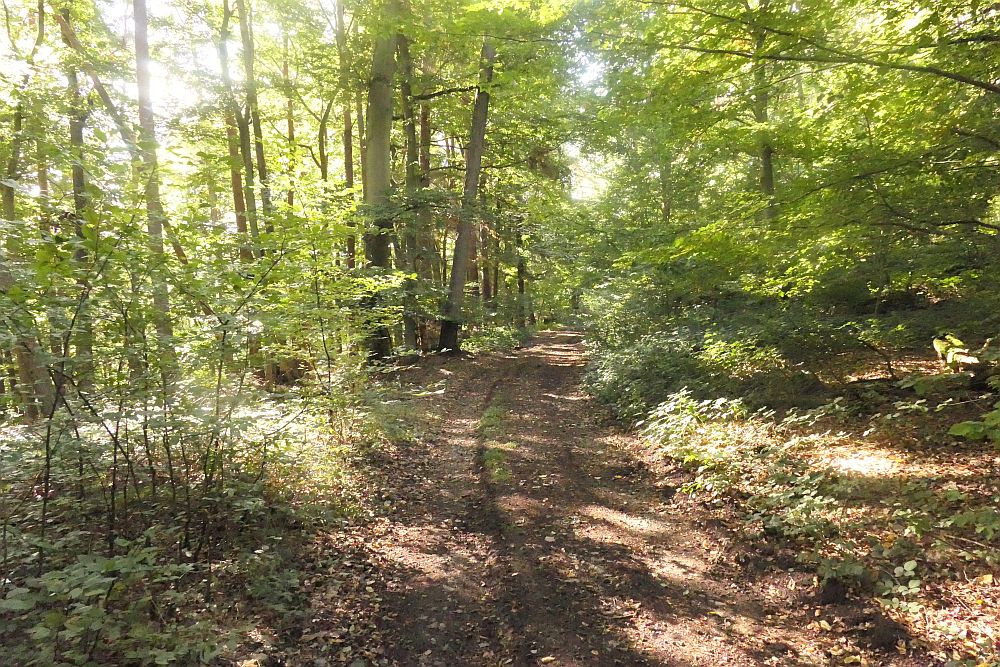 mehlerholzrunde